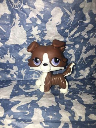 Littlest Pet Shop Authentic No Collie From Puzzle Brown White Clear Peg Usa