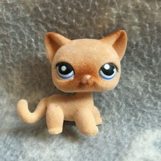 Littlest Pet Shop 318 Brown Fuzzy Siamese Cat With Blue Eyes Helicopter Head
