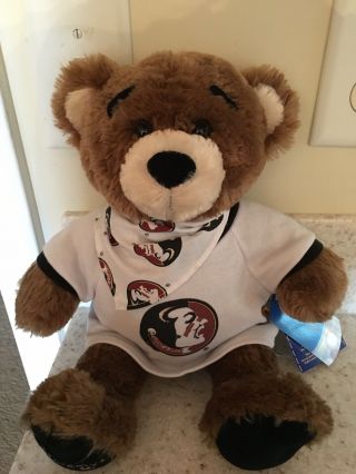 Florida State Seminoles Fsu Bear With Fsu T Shirt & Bandana Build A Bear