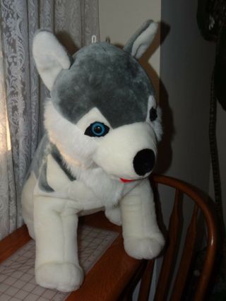 Large Wolf Husky Dog Plush Siberian Sitting Husky Blue Eyes Jumbo Stuffed 25 "