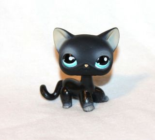 Authentic Littlest Pet Shop Lps Black Shorthair Cat 994 Blue Eyes Siamese (c01)