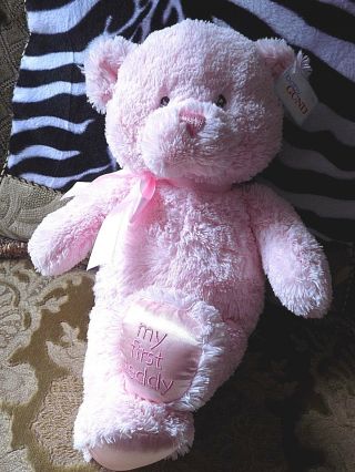 Baby Gund " My First Teddy " Bear Stuffed Animal 10 " Pink Euc