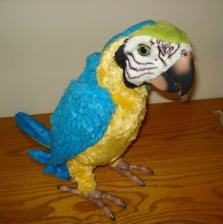 Fur Real Friends Squawkers Mccaw Talking Interactive Parrot Only