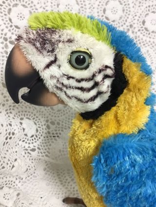 Fur Real Friends Squawkers Mccaw Talking Interactive Parrot Great