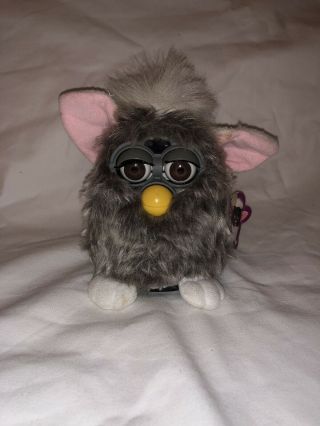 1998 Furby 70 - 800 Silver/Gray white feet hair & tail Brown eyes 2