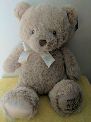 Baby Gund My First Teddy Bear Plush 10” Light Brown So Soft