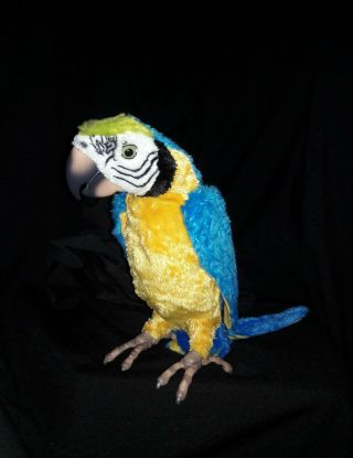 2007 ▪hasbro▪ Squawkers Macaw Talking Parrot ▪furreal Friends▪bird Only▪