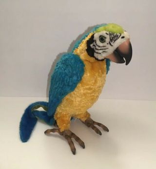Furreal Friends Talking Parrot Squawkers Mccaw Hasbro W/ 2007 Baby Parrot