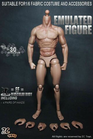 1/6 Scale Zc Toys S001 Muscle Body Action Figure