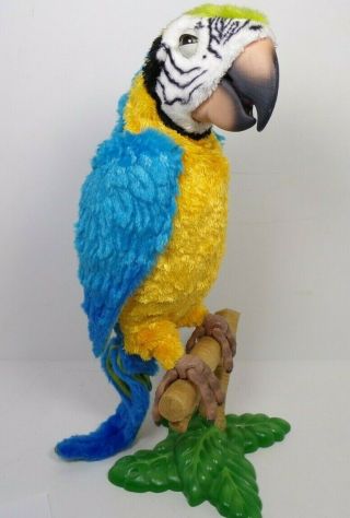Hasbro Talking Parrot Squawkers Mccaw No Controller Furreal Friends - See Video
