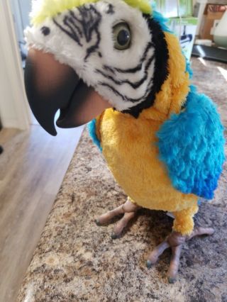 Fur Real Friends Squawkers McCaw Talking Interactive Parrot ONLY Great 2
