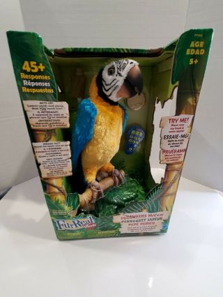 Fur Real Furreal Friends Squakers Mccaw Interactive Parrot - Box