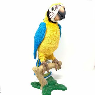 Hasbro Furreal Friends Talking Parrot Squawkers Mccaw Interactive Macaw