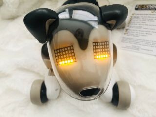 Zoomer Best Friend Shadow Robotic Interactive Dog 3