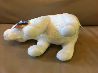Kohls Cares for Kids White Polar Bear Plush Stuffed World of Eric Carle 4