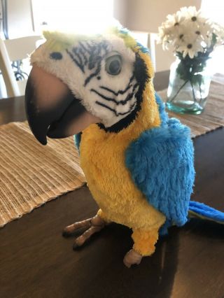Hasbro Toy Fur Real Friends Squakers Macaw Interactive Talking Parrot Bird