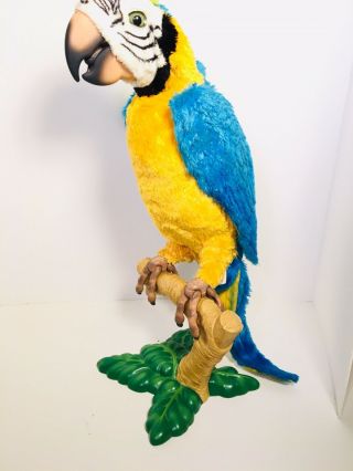 Hasbro Furreal Friends Talking Parrot Squawkers Mccaw Interactive W/ Perch