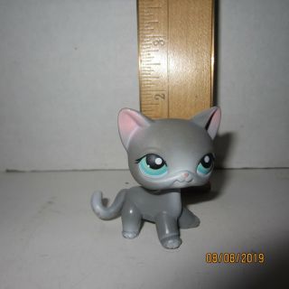 126 Gray Siamese Short Hair Cat Littlest Pet Shop Authentic Hasbro