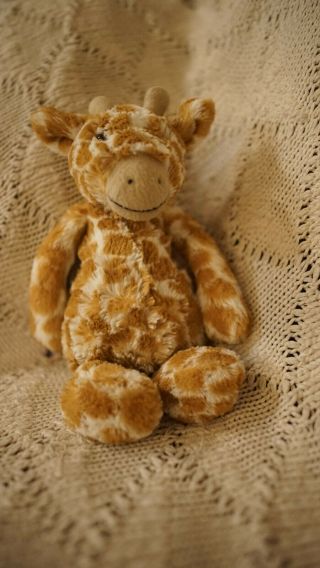 Jellycat Bashful Giraffe Plush Medium 12 " Toffee White Stuffed Animal Baby Toy