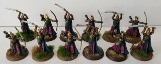 12 X Warriors Of The Last Alliance Well Painted Plastic Models Lotr Elves,  Men