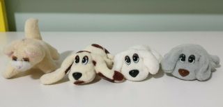 Pound Puppies And Pound Kitties Mini Plushes Character Toys 5cm