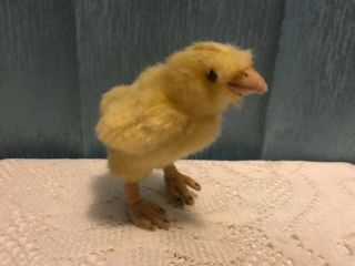 Chick Plush Toy | By Hansa