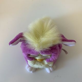 1999 Furby Babies Purple Yellow Fur with Blue Eyes Model 70 - 940 Tiger, 5