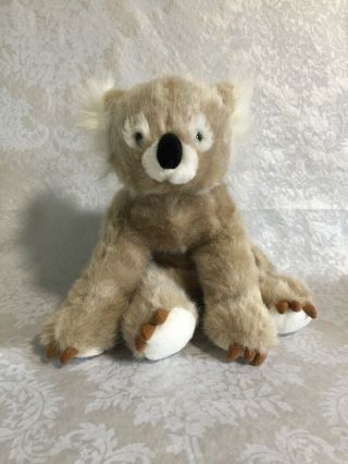 Dan Dee Koala Bear 12 " Plush Collectors Choice He 
