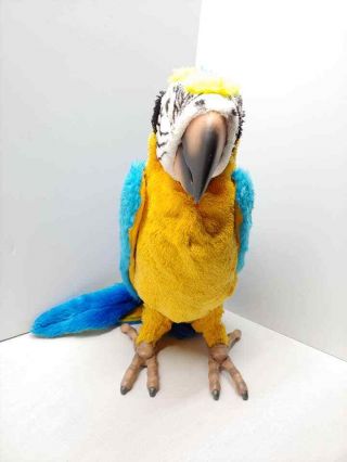 2006 Hasbro Squawkers Macaw Talking Parrot FURREAL FRIENDS Bird Only 5