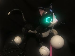 Zoomer Kitty Interactive Cat Accessories Robot Black White Spin Master 3