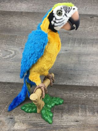 Hasbro Furreal Friends Squawkers Mccaw Talking Parrot Bird And Stand Only
