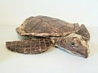 2005 Sunny & Co Toys Sea Turtle Plush Full Body Hand Puppet 13 "