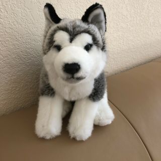 Toys R Us Siberian Husky Dog Plush Gray White With Blue Eyes Exc