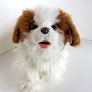 Furreal Interactive Doggie: Hasbro: King Charles Spaniel : Euc,  Cutie