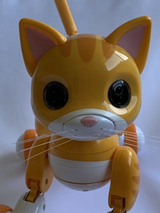 Zoomer Kitty Kids Interactive Robot Kitty Whiskers The Orange Tabby Cat COMPLETE 7