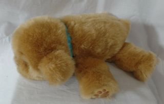 Little Live Pets Snuggles My Dream Puppy Plush Brown Interactive Dog