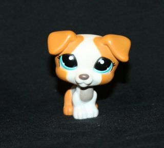 Littlest Pet Shop Tan White Gray Jack Russell Terrier 1093 Blue Eyes Dog Caramel