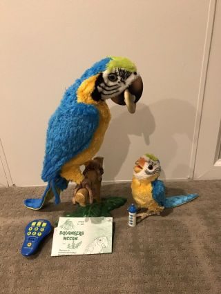 2006 Hasbro Furreal Friends Talking Parrot Squawkers Mccaw W/ 2007 Baby Parrot