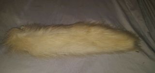 Hasbro Furreal Friends Butterscotch Pony Horse Replacement Tail Part Tail Only
