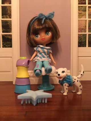 Littlest Pet Shop Lps Blythe Doll And Accessories