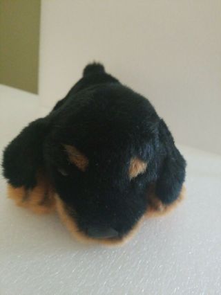 Fao Schwarz 5th Ave Rottweiler Black & Brown Puppy Dog Stuffed Animal Plush Toy
