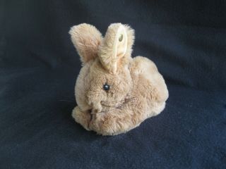 Steiff Bunny Rabbit,  Approximately 7 X 6 " X4 ",  Made In Germany