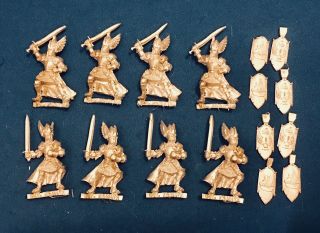 Lord Of The Rings 28mm Gondor Dol Amroth Foot Knights