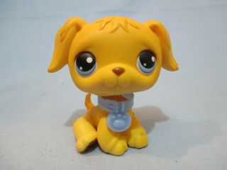 Littlest Pet Shop Dog Retriever 21 With Collar Accessory Lps Exclusive