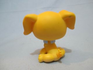 Littlest Pet Shop Dog Retriever 21 with Collar Accessory Lps Exclusive 2