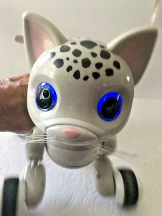 Zoomer Kitty Zooey Leopard Grey Spotted Interactive Cat Robot
