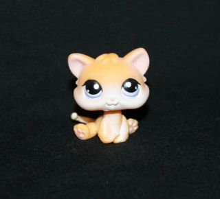 Littlest Pet Shop Yellow Kitten 114 Pink & Purple Eyes Cat Orange Kitty (ct03)