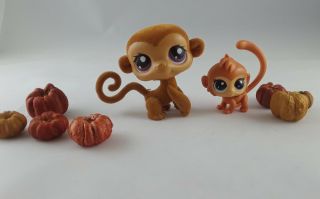 Littlest Pet Shop Exclusive Brown Fuzzy Girl Monkey 412 & Friend Pumpkin Patch