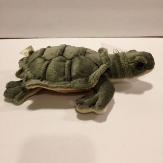 SOS Sea Turtle 8” Plush stuffed Animal Green With Tag 3