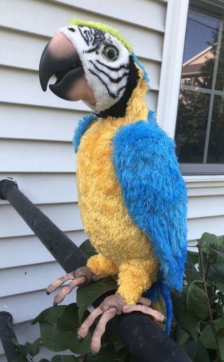 Hasbro Fur Real Squawkers Mccaw Talking Parrot No Remote Or Perch Great